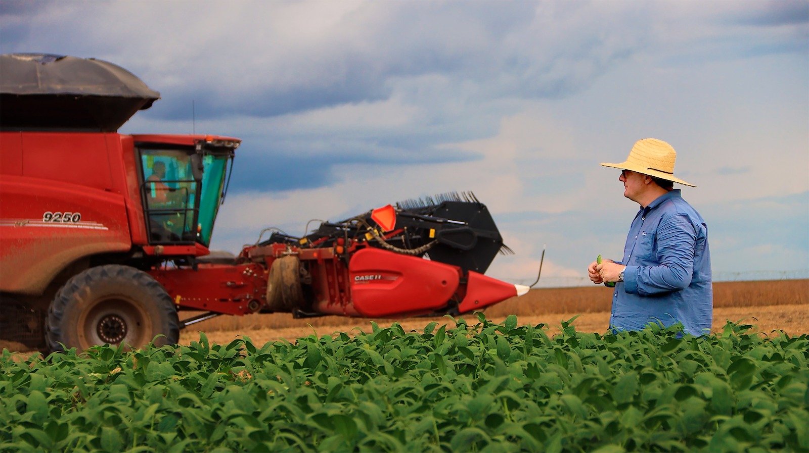 Aiba fortalece o agronegócio do Cerrado Baiano com serviços que ampliam a produtividade, a qualidade e a segurança no campo