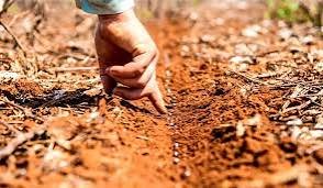 Começa a contagem regressiva para a antecipação do plantio da soja