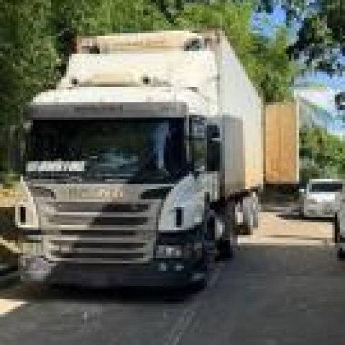 Caminhão com 25 toneladas de salsicha vencida na BR-324 é aprendido pela Polícia Civil