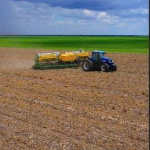 A semeadura da soja na reta final