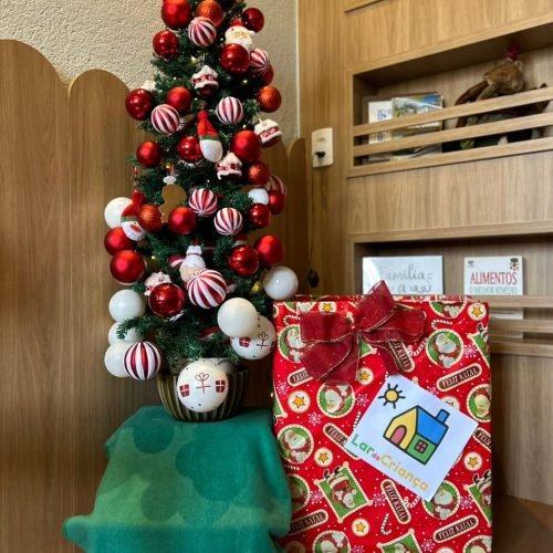 Clínica Estímulos lança campanha de Natal para arrecadar alimentos e brinquedos para o Lar da Criança
