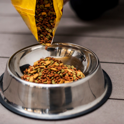 Palestra acontece no dia 7 de abril, no campus Gilberto Gil da Estácio, e aborda diferentes modalidades alimentares para pets