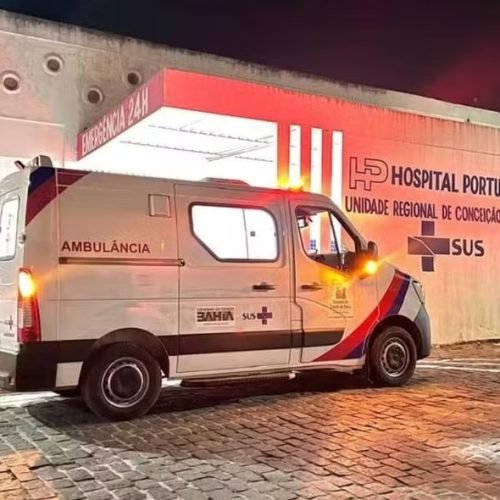 Médica é atacada por abelhas em Coité