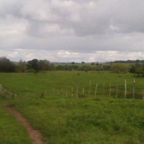 Contadora é presa suspeita aplicar golpe