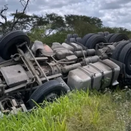 Motorista capota carreta após ser atacado por abelhas na BR-242 em Castro Alves