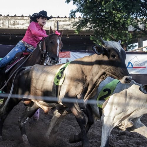 Fenagro 2025: o maior encontro do agronegócio e da cultura nordestina