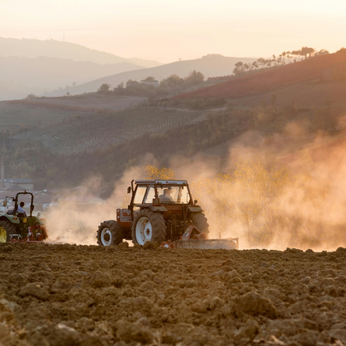 Denúncia: pulverização de agrotóxicos por drones contamina plantações no semiárido baiano e ameaça cadeia de orgânicos