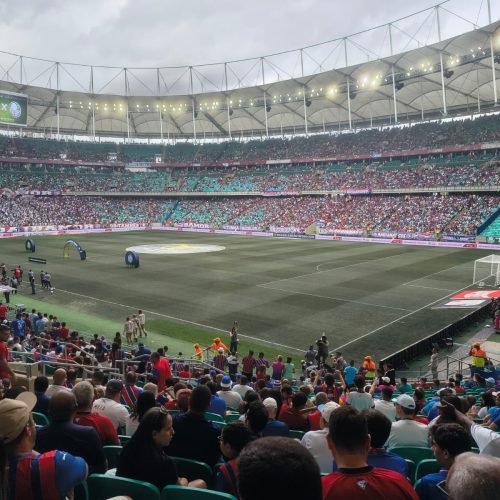 Abel Ferreira faz duras críticas ao  gramado da Fonte Nova