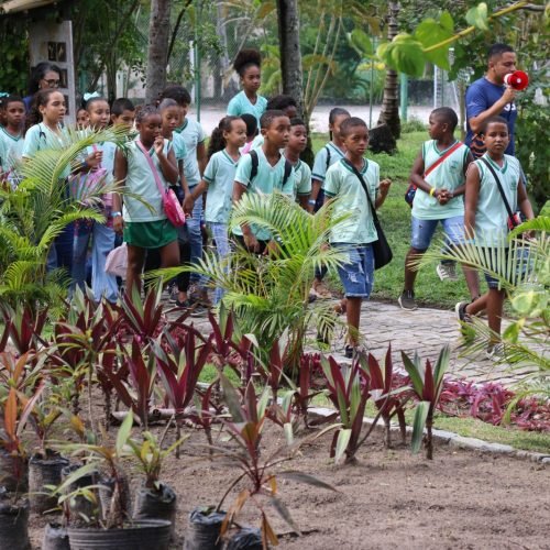 Ilha de Itaparica recebe iniciativa de promoção de ciência cidadã e educação ambiental prática