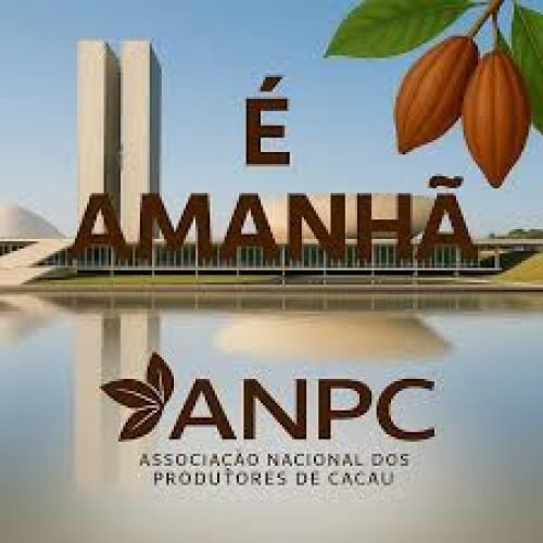 Produtores de cacau da Bahia solicita a revogação de norma que libera importação da Costa do Marfim