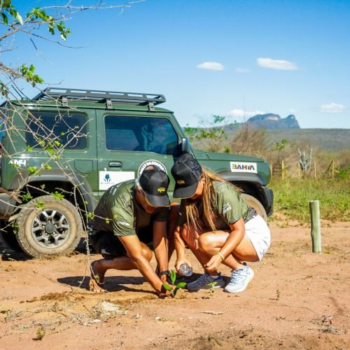 Primeiro Rally  do ano será na Chapada na cidade de Seabra