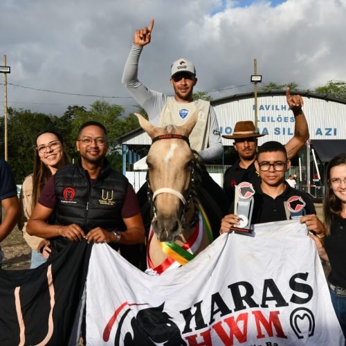 Expo Mangalarga Marchador 2025 movimenta Parque de Exposições de Alagoinhas