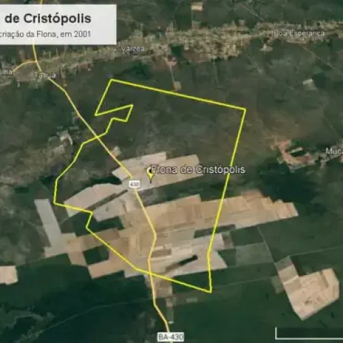 Articulação da Aiba garante vitória histórica para produtores rurais com extinção da Flona de Cristópolis
