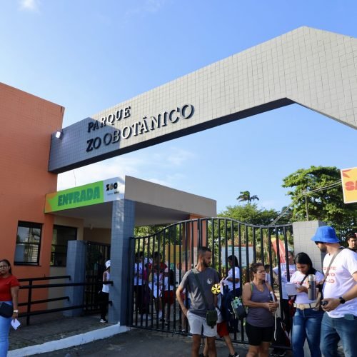 Zoo da Bahia funcionará normalmente neste fim de ano