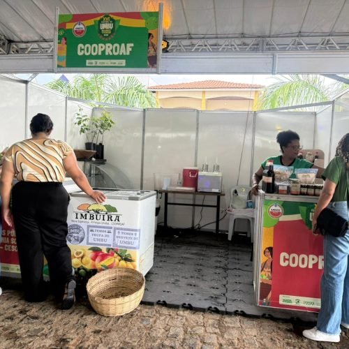 16º Festival do Umbu fortalece a agricultura familiar e movimenta economia de Manoel Vitorino e região