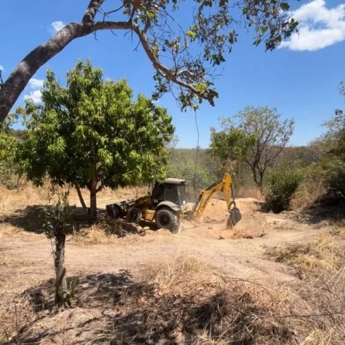 Projeto apoiado pela Embasa recupera nascentes no oeste baiano