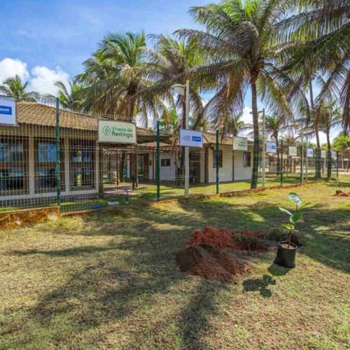 Plantio no Viveiro de Restinga de Praia do Flamengo fortalece preservação ambiental em Salvador