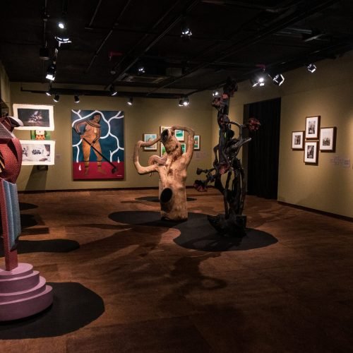 Exposição Floresta de Infinitos chega aos últimos dias de visitação na Casa das Histórias de Salvador