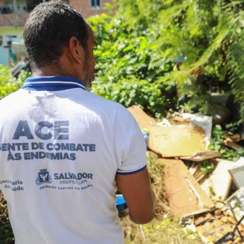 Prefeitura intensifica ações de combate ao mosquito da dengue em Salvador