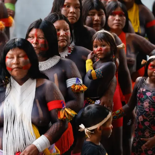 COP: proteção ambiental e luta indígena são indissociáveis, diz Fachin