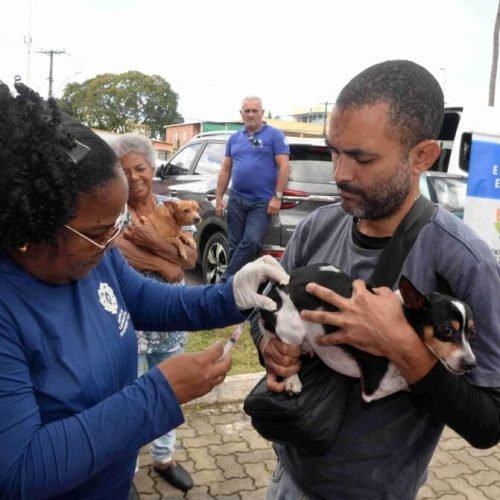Vacinação antirrábica: Salvador terá postos volantes e itinerantes neste penúltimo fim de semana da campanha