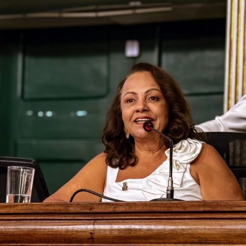 Aprovado PL de Aladilce que institui o Comitê Intersetorial do Plano de Enfrentamento ao Feminicídio