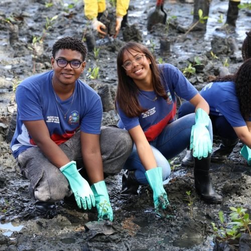 Estudantes da rede estadual plantam 3 mil mudas de mangue em trecho do VLT no Subúrbio Ferroviário