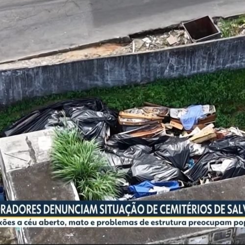 Abandono dos cemitérios de Salvador e constrange grupo de ACM Neto”, diz Lídice