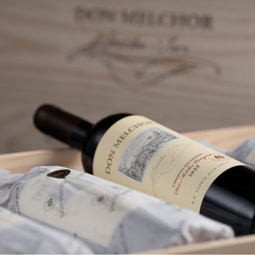 Don Melchor apresenta safra 2023 marcada por intensidade aromática e sofisticação