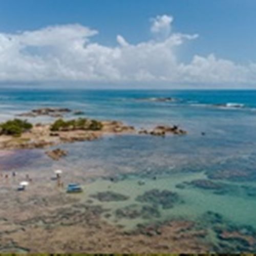 Workshop Visite Morro 2026: evento posiciona Morro de São Paulo como destino estratégico do turismo nacional