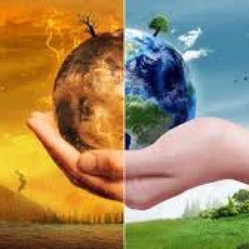 Dia Mundial do Meio Ambiente faz chamado global para a ação climática