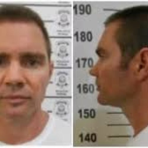 Flávio Bolsonaro se reúne com cúpula do PL em meio a crise envolvendo áudios e financiamento de filme