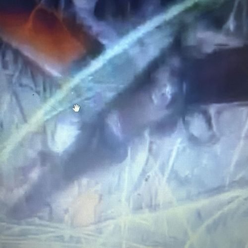 Suspeitos de atirar em turistas são detidos e esconderijo de armas é descoberto no sul da Bahia