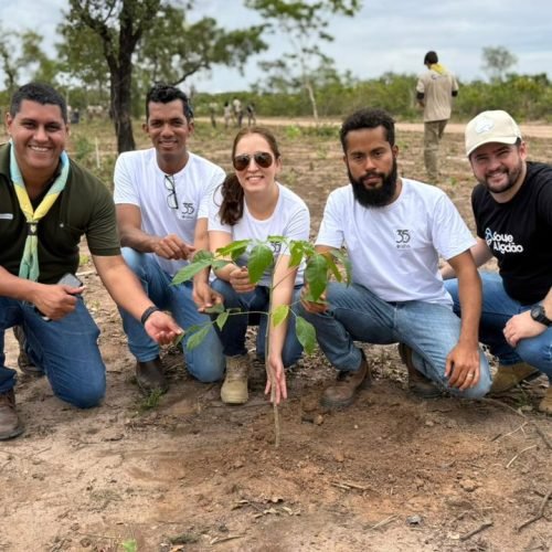 Escoteiros Raízes do Agro, Aiba e Associação Mão Amiga realizam plantio de 1.000 mudas de árvores nativas do Cerrado