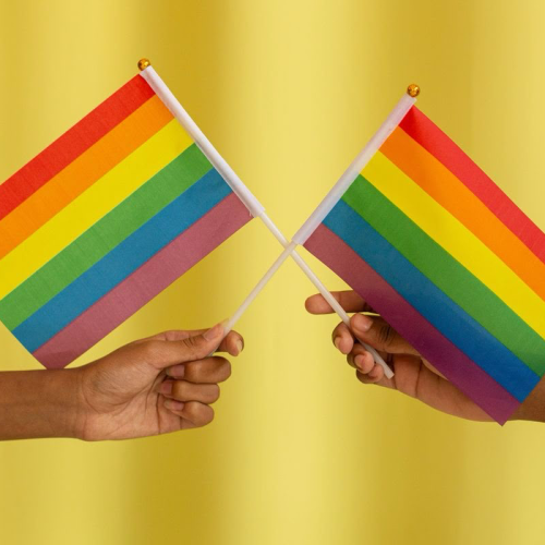 Educação inclusiva ainda é desafio para estudantes LGBTQIA+ no Brasil