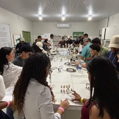 Encontro Entomológico reforça busca do setor agrícola em mitigar problemas ocasionados por pragas do campo