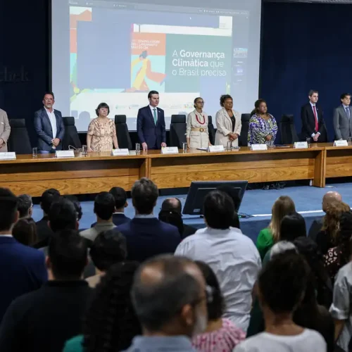 Marina Silva defende parcerias para sucesso na governança climática