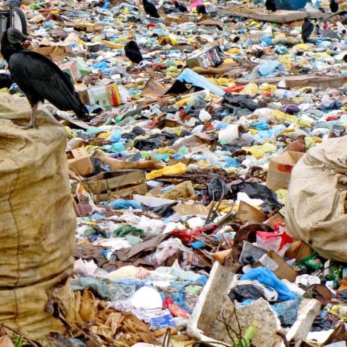 Fim dos lixões e impactos ambientais na Bahia é tema de audiência pública na ALBA