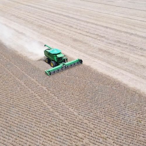 Aiba divulga Nota Técnica sobre avaliação do risco climático e da capacidade de resiliência da agricultura do Cerrado baiano