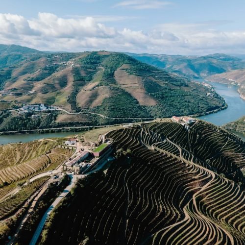 Menin Company participa pela segunda vez consecutiva do Vinhos de Portugal no Brasil